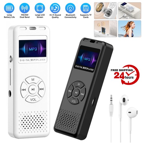 Portable mp3 player - portable, hifi